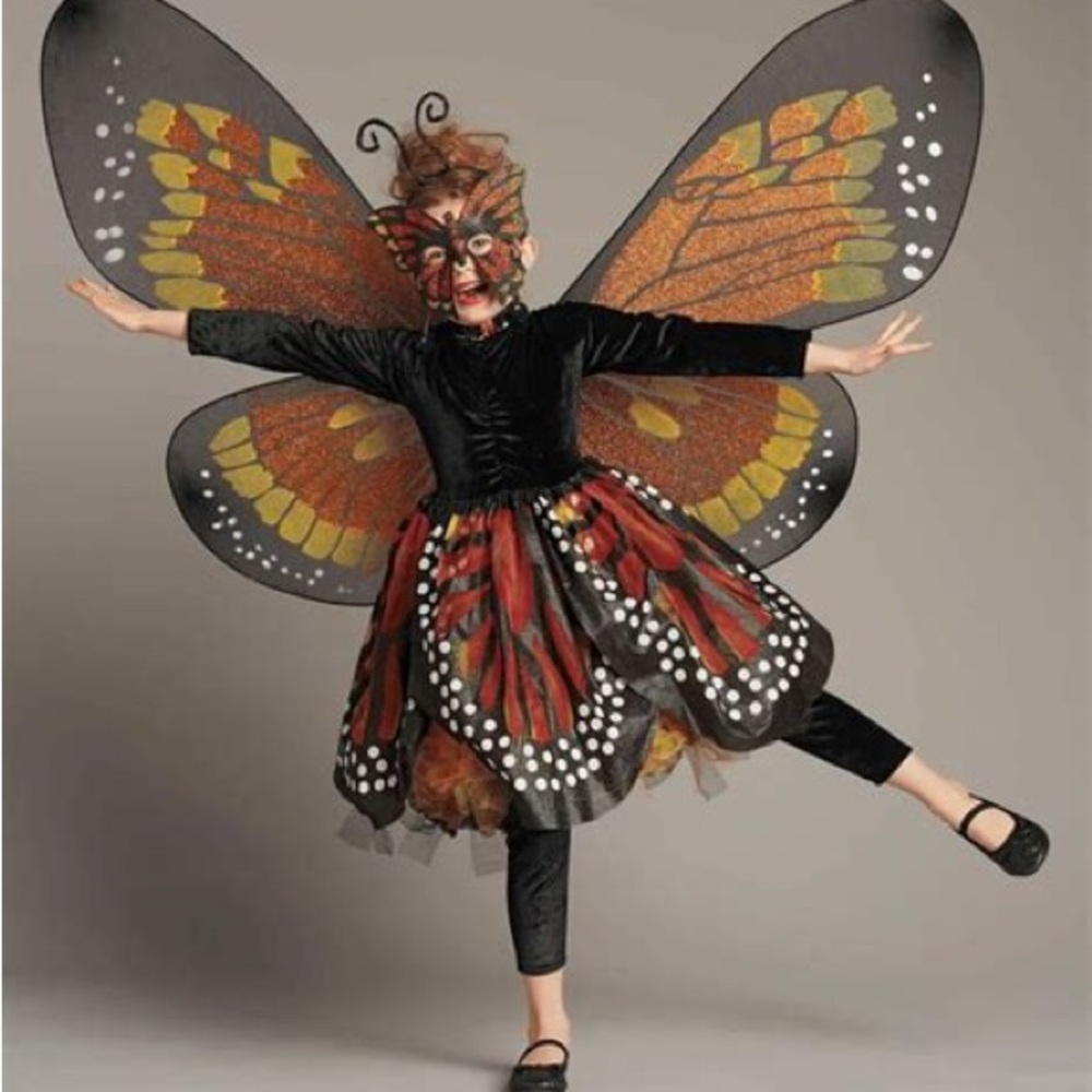Chasing fireflies monarch butterfly costume size 6